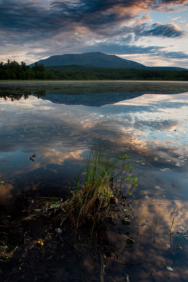 _JPG1204_Edit_Katahdin-from-Compass-Pond-vertical-sunrise-foreground-plant_CroppedLandscapes.Color.WEB.jpg