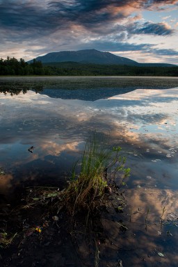 _JPG1204_Edit_Katahdin-from-Compass-Pond-vertical-sunrise-foreground-plant_CroppedLandscapes.Color.WEB.jpg