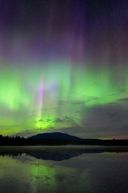 _JPG1769_Edit_Cropped-Golden-Road-Aurora-Brilliant-PillarsNight.WEB.jpg